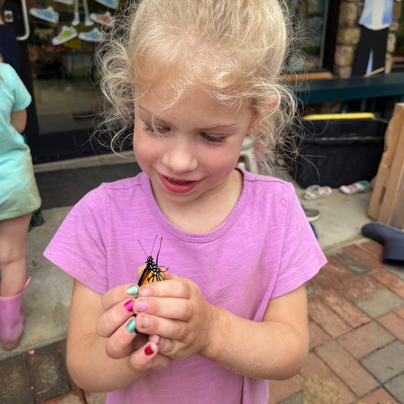 A caucasian girl gently observes a butterfly at Community School in Hollins, Virginia.