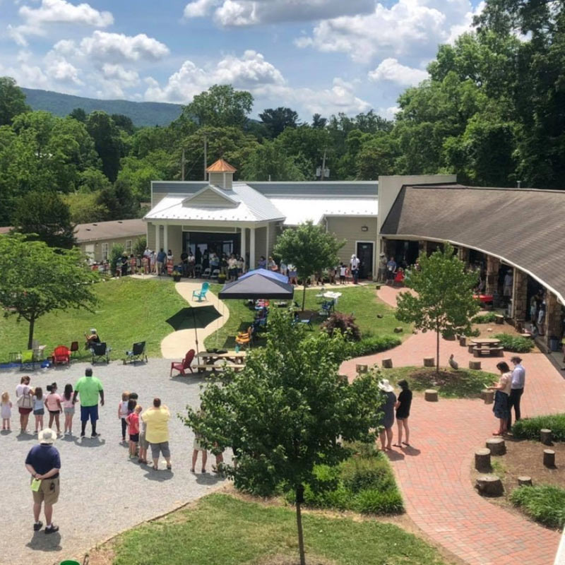 Image of Students and Teachers Gathering in the Community School Campus in Hollins, Virginia