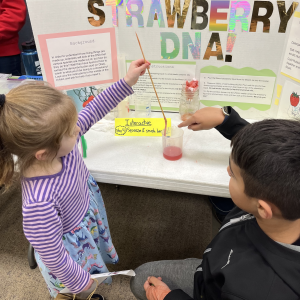 Strawberry DNA At STEAM Night